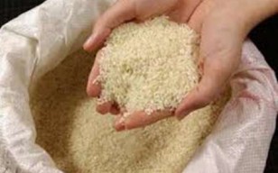 انبار 245 تنی برنج تقلبی در مازندران کشف شد