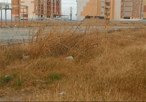 13941126000002_PhotoL