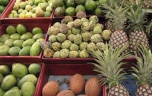 فیلم واردات قاچاق میوه تقدیم دولت می‌شود