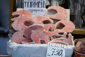 تصاویر/ زندگی در سردترین شهر جهان 