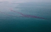 آلودگی های نفتی کشتی مارک در بندر چابهار پاکسازی شد