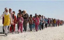 اتریش پناهندگان وارد شده از ترکیه به اروپا را باز می گرداند