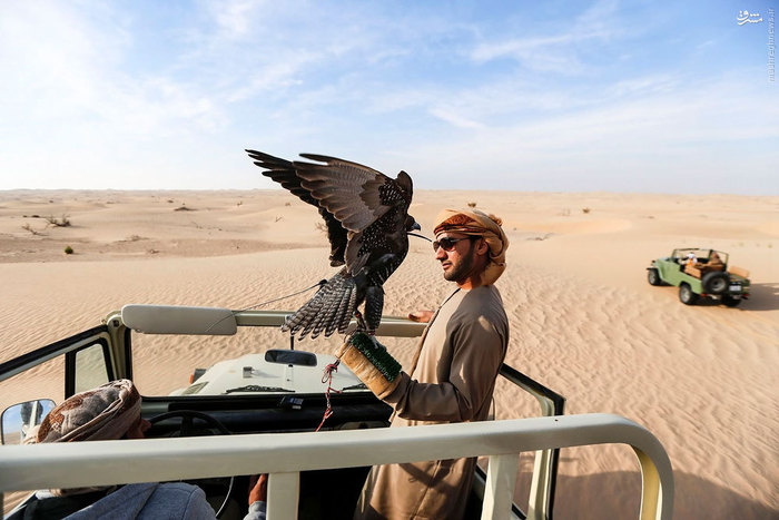 تفریح لوکس در بیابان‌های امارات+تصاویر