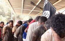کشف مدارک جدید از قاچاق اعضای بدن اسرا توسط داعش