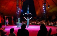 اجرای نمایش سیرک ستارگان بین المللی در قصرشیرین