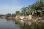 یک مسئول سازمان حفاظت محیط زیست از تشکیل کارگروه های مردمی برای احیای تالاب های خوزستان خبر داد