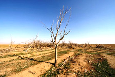 کشاورزان شادگانی 472 میلیارد ریال غرامت دریافت کردند