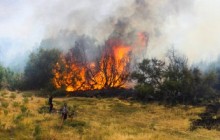وزش بادگرم و احتمال خطر آتش سوزی جنگل های گیلان