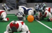مسابقات رباتیک قهرمانی کشور در رشت پایان یافت
