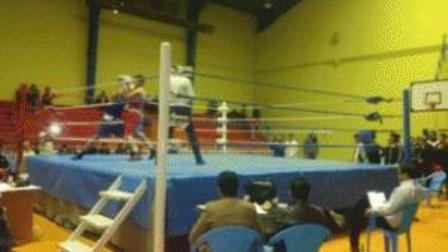 بوکسورهای گرمی مغان قهرمان شدند