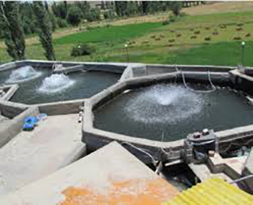 افتتاح دو طرح کشاورزی در چاراویماق