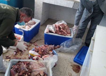500 کیلوگرم فرآورده خام دامی فاسد در آستارا معدوم شد