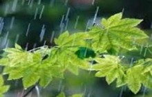 سردشت رکورددار بیشترین بارندگی سال آبی جاری در آذربایجان غربی است