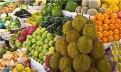 صدور 206 میلیون دلار محصولات کشاورزی از آذربایجان‌شرقی به 50 کشور