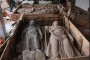 قاچاقچیان آثار باستانی در شهرستان چرداول ایلام دستگیر شدند