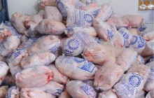 آمادگی پشتیبانی امور دام کرمانشاه برای توزیع گوشت و مرغ شب عید