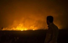 آتش سوزی نیزارهای دریاچه زریبار مریوان مهار شد