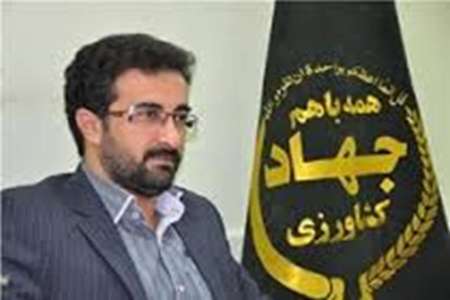 امسال 120 تن عسل در خراسان جنوبی تولید شد