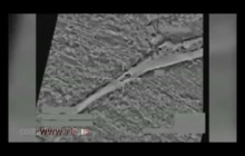 انهدام کامیون داعش توسط جنگنده‌های تایفون +فیلم