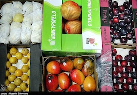 کشف دوباره چندین تن میوه قاچاق در میدان ترهبار