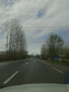 marznews-1395-01-07--018-10