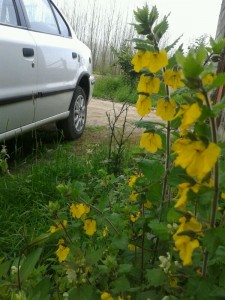 marznews-1395-01-07--018-3