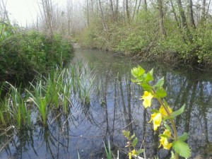 marznews-1395-01-07--018-5