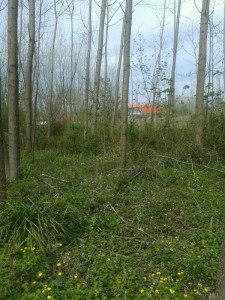 marznews-1395-01-07--018-6