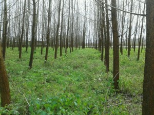 marznews-1395-01-07--018-9