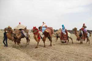 ششمین جشنواره ملی كوچ عشایر در بیله سوار مغان برگزار می شود