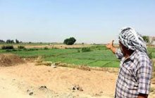دولت، به یاری کشاورزان خوزستانی بشتابد