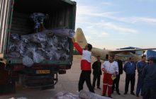 محموله هلال احمر همدان با 64 کامیون به مناطق آسیب دیده کرمانشاه ارسال شد