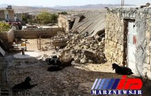 خسارت زلزله به بخش کشاورزی کرمانشاه 8هزارمیلیارد ریال برآورد شد  پنج پیشنهاد وزارت جهاد کشاورزی برای کمک به مناطق زلزله زده