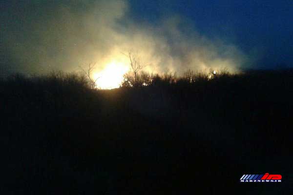 آتش سوزی در تالاب نوروزلو