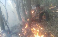آتش سوزی در جنگل های کجور نوشهر