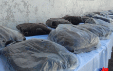 بیش از 14 تن مواد مخدر در بوشهر کشف شد    