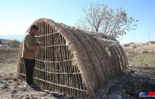 ساخت کپر در مناطق زلزله زده سرپل‌ذهاب (عکس)