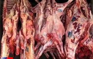 اجرای طرح زنجیره تولید گوشت قرمز در جامعه عشایری