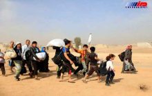 بازگشت ۱۵ هزار خانوار آواره عراقی به استان الانبار