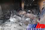 تلف شدن 110 رأس گوسفند و بز بر اثر آتش سوزی در شهرستان گرمه