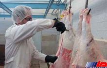نظارت بر استحصال بیش از 34 تن گوشت قرمز توسط شبکه دامپزشکی شهرستان پلدشت