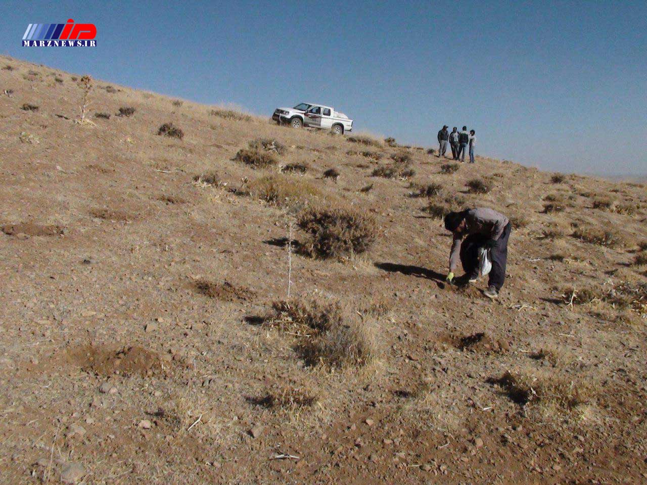 اجرای80 درصد پروژه های مرتع داری در شیروان