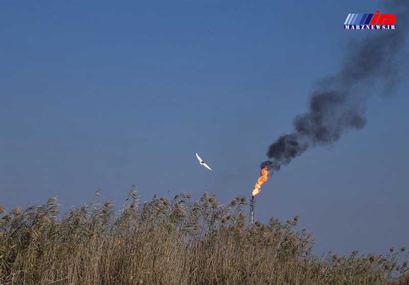 از تالاب‌خواری شرکت‌های حفاری تا جهاد محیط بانان خوزستانی برای نجات هورالعظیم