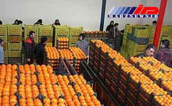 ذخیره ۳۰۰ تن سیب و ۷۰۰ تن پرتقال در انبارهای کرمانشاه