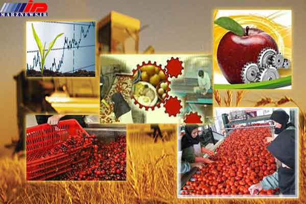 ۱۳ واحد تولیدی صنایع تبدیلی کشاورزی استان بوشهر بهره‌برداری شد