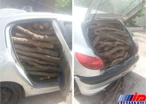 قاچاق چوب با خودروهای حامل گوشت و لبنیات در مازندران