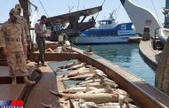 هفت فروند شناور صیادی غیرمجاز در آبهای جزیره کیش توقیف شد