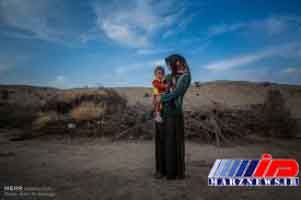 زندگی زیر تیغ محرومیت در استان بوشهر (+عکس)