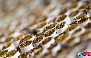 واردات سیگار 76 درصد کاهش یافت