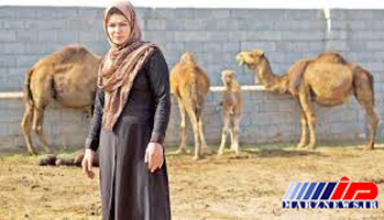پرورش شتر توسط یک زن در تبریز